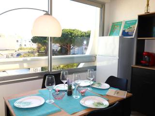 Studio cabine refait à neuf, piscine, proche plage et commerces - FR-1-307-241 - Le Grau-du-Roi - 0