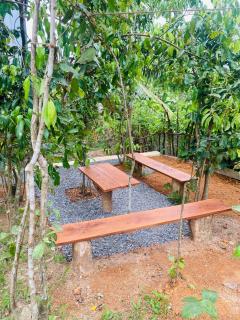 Cinnamon House Gonapinuwala - Baddegama South - 4
