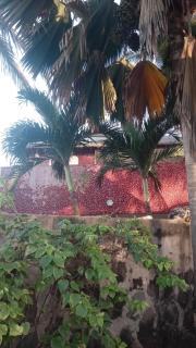 Casa Jujube - Dakar - 0