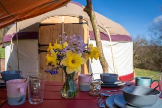 Self Contained Yurt - Botany - Tintern - 0