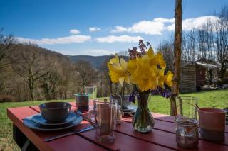 Self Contained Yurt - Botany - Tintern - 6