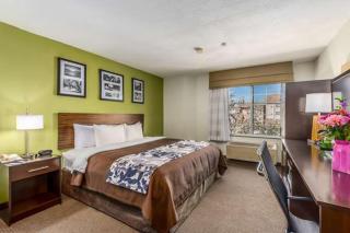 Rodeway Inn - Albuquerque - 2