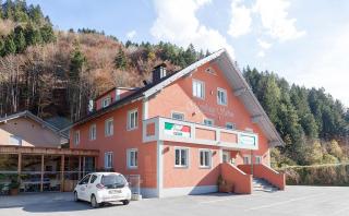 Sahin 4 by Alpenfeder - Bartholomäberg - 1