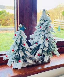 River house - Birnam - 3