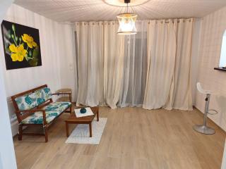 charmant T2 rénové avec goût - 0