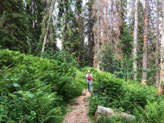 Ferienhaus Robin - 1