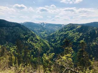 Ferienhaus Robin - 2