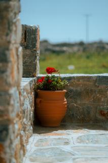 Mitatos "Matthew" - Moutsouna Naxos - 2