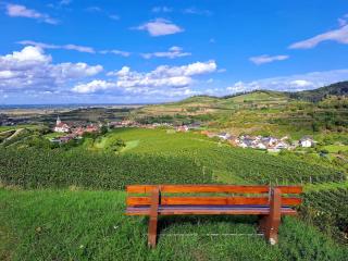 Gästehaus Weingut Mangel - Endingen - 0