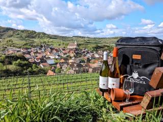 Gästehaus Weingut Mangel - Endingen - 9