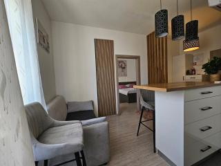 Apartman Iris - Karlovac - 4