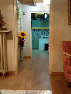 Bear House - - 7
