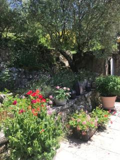 Beautiful stone house with pool - 8
