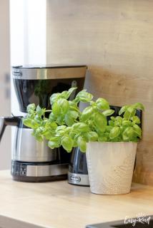 Prestige Red z basenem - 5