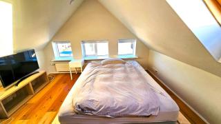 Spacious Nordic Home in Rvk - Reykjavík - 1