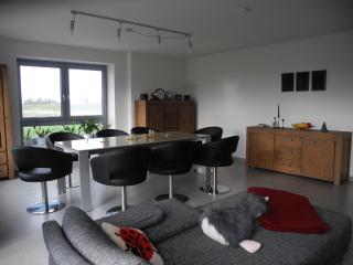 Geräumiges Ferienhaus Mit Garten Und Weitblick - Oesterdeichstrich - 8