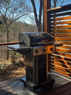 Suite 15 - Asheville - 7