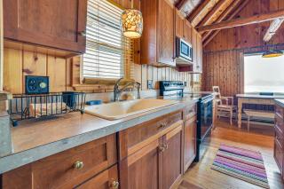Michigan Cabin Retreat 5 Mi to Sturgeon Bay Beach - Pellston - 2