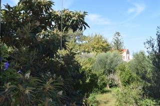 Thei's Nest - Prinés - 2