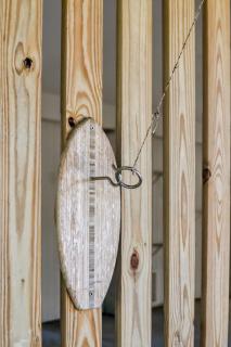 Oyster Cove - Close To Everything - Tybee Island - 6