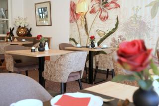 Hotel Alexa - Bad Mergentheim - 3