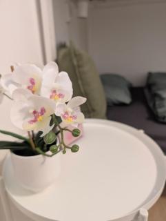 Ferienwohnung - Tittmoning - 9