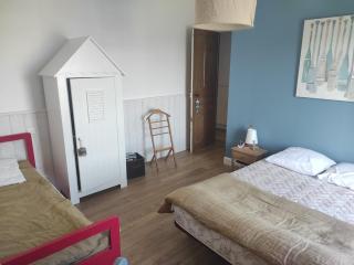 Maison de vacances centre bourg Plouhinec - Plouhinec - 9