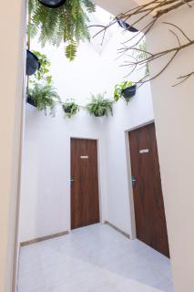 Raizes - Aracaju - 7