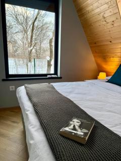 AHA Cabin - Comarnic - 2