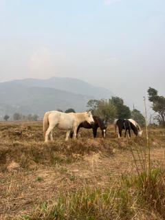 Mystic Hills Bir Campsite - Bīr - 3