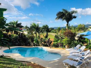 Hacienda Rose Tropical Paradise - Juncos - 6