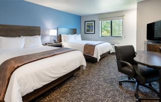 My Place Hotel-Green Bay, WI - Green Bay - 6