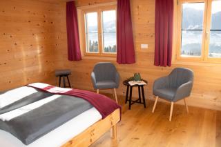 Ferienwohnung Naturnah - Dalaas - 5