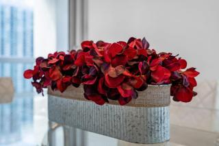 Moderne 2 bed 2 bath at the W residence - Miami - 3