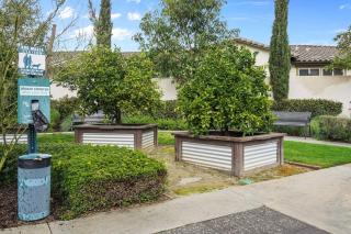 Gorgeous Family Home, Close to Frwys, Hospitals & Sports Arenas, Pets OK - Orange - 9