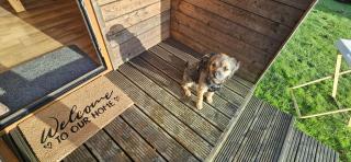 Camping Pod on Quiet Adults Only, Dog Friendly Campsite - Pocklington - 7