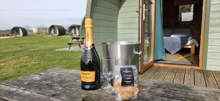 Camping Pod on Quiet Adults Only, Dog Friendly Campsite - Pocklington - 5