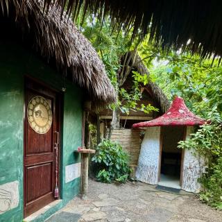 Perla Marina Beach Condo- Walk to Yoga, Spa & Food - 6