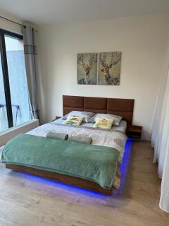 O2 Arena - Alex Apartment Praha - Prague - 3