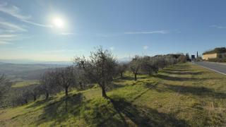 la villa bella vista - Castelmuzio - 5