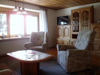 Matt Comfortable holiday residence - Herrischried - 3