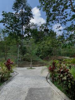 Chato Arenal Lodge - Fortuna - 3