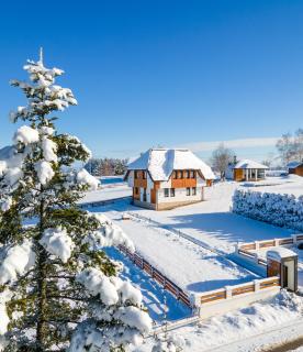 Vidik apartmani Tara - Bajina Bašta - 9