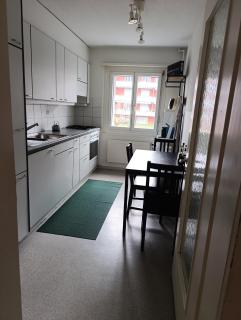 ESC Basel Furnished Apartment - Birsfelden - 3