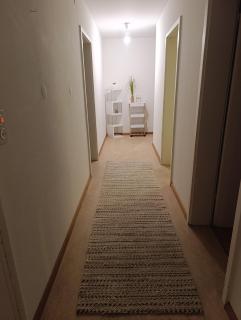 ESC Basel Furnished Apartment - Birsfelden - 1