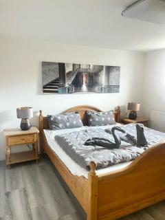 Frisch Renovierte Souterrain Wohnung - Rodenbach - 9