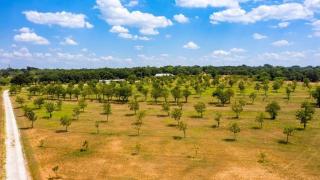 Pecan Farm Haus - Fredericksburg - 6