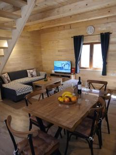 Vila Kraljica Planina - Šavnik - 8