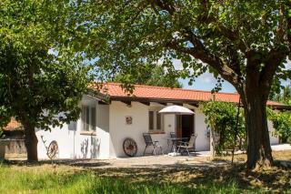 La Casina Nel Frutteto - Castelnuovo Cilento - 0