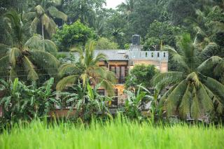 SHD Paddy Villa - Talpe - 1
